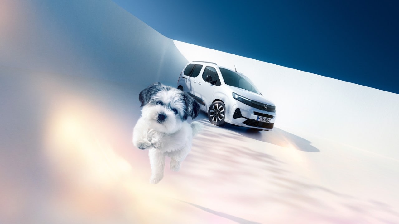 Vorderansicht eines weißen Opel Combo Electric mit einem Hund